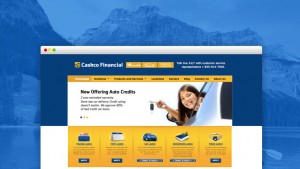 cashco website design