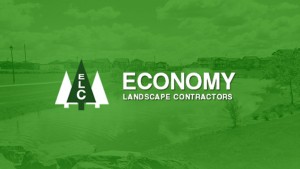 logo and graphics for Economy Landscape