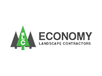 Economy Landscape